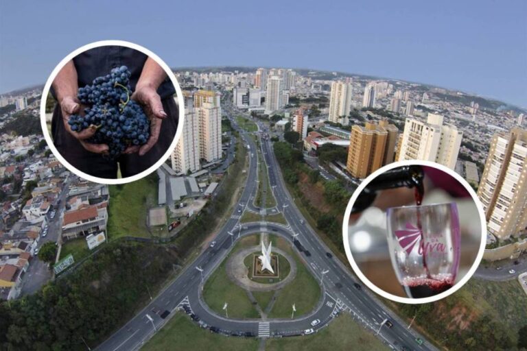 Muito além da uva: Jundiaí preserva tradição italiana, impulsiona o turismo e conquista visitantes com seus vinhos artesanais