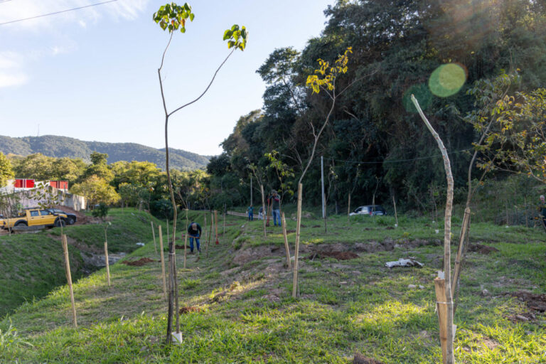 Plantio de 190 árvores nativas reforça compromisso de Jundiaí com a sustentabilidade e a mitigação das mudanças climáticas